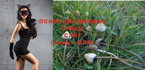 синтетический гашиш Арсеньев