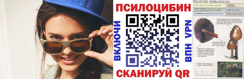 Галлюциногенные грибы Cubensis Рошаль